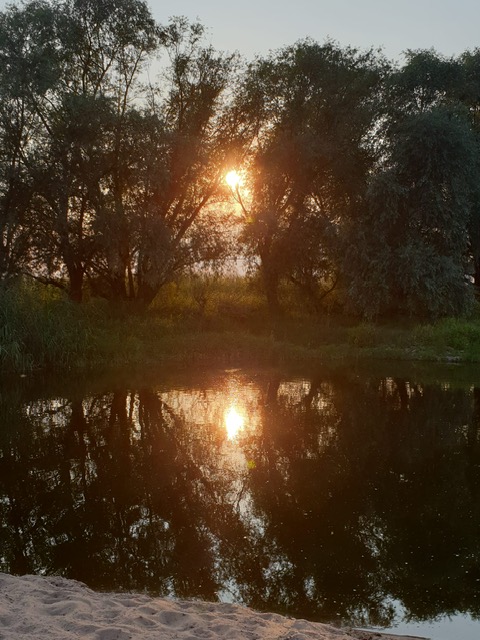 Abendstimmung am Waldsee